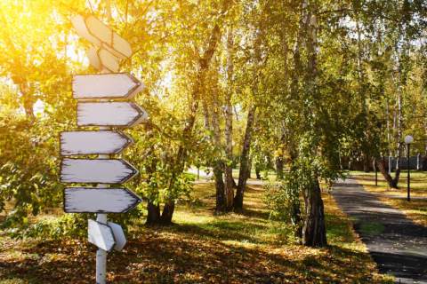 shutterstock-1193064352.jpg -